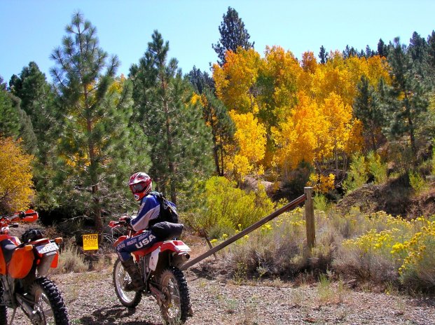 Fall colors on the Topaz ride.