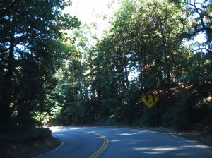 157-Turn20ArrowsSkylineBlvd