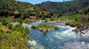 Photo courtesy of Barbara Matthews: http://mtnmatthews.blogspot.com/