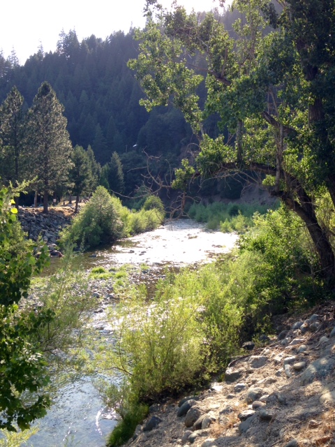 Northern California Moto Camping Day&nbsp;2
