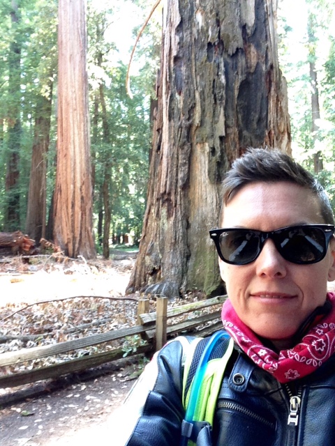 That's a Redwood trunk behind me.  Bigger than most, I'd say.