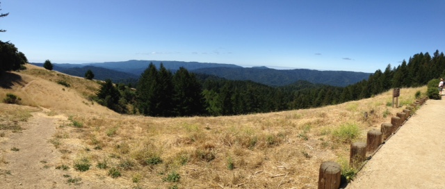 Wayside vista on Route 9