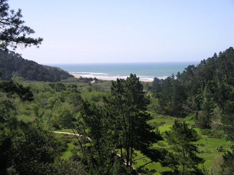 View from Big Basin Redwoods