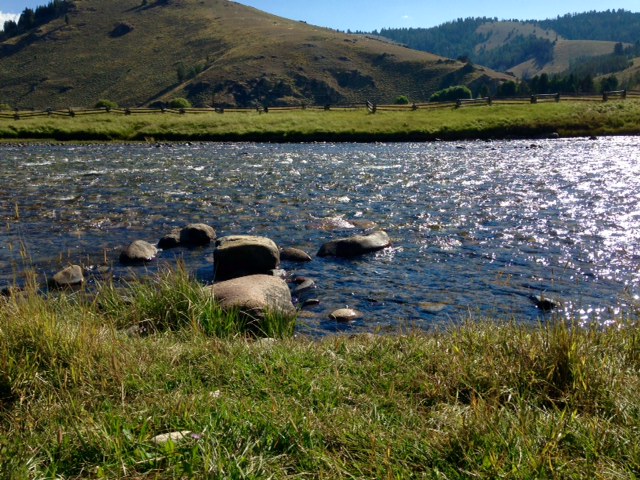 The Long Ride&nbsp;Home