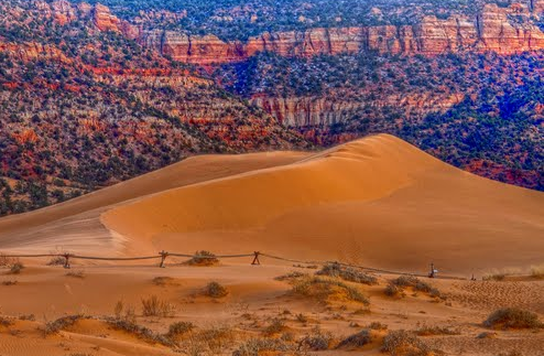 coral-pink-sand-dunes