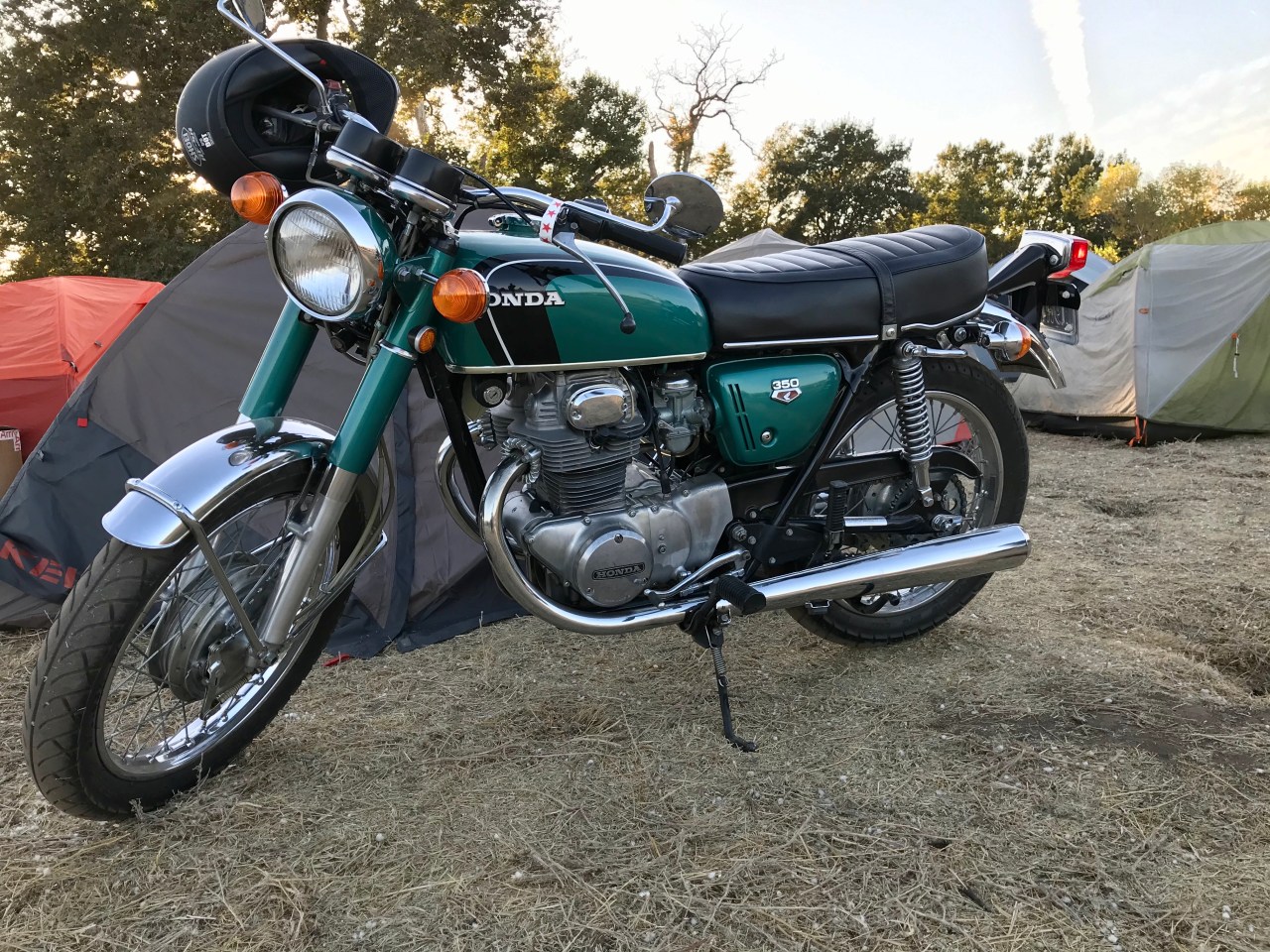 image_408d5972-2010-45b9-8fc9-de8a8e1c6ae2.img_8086