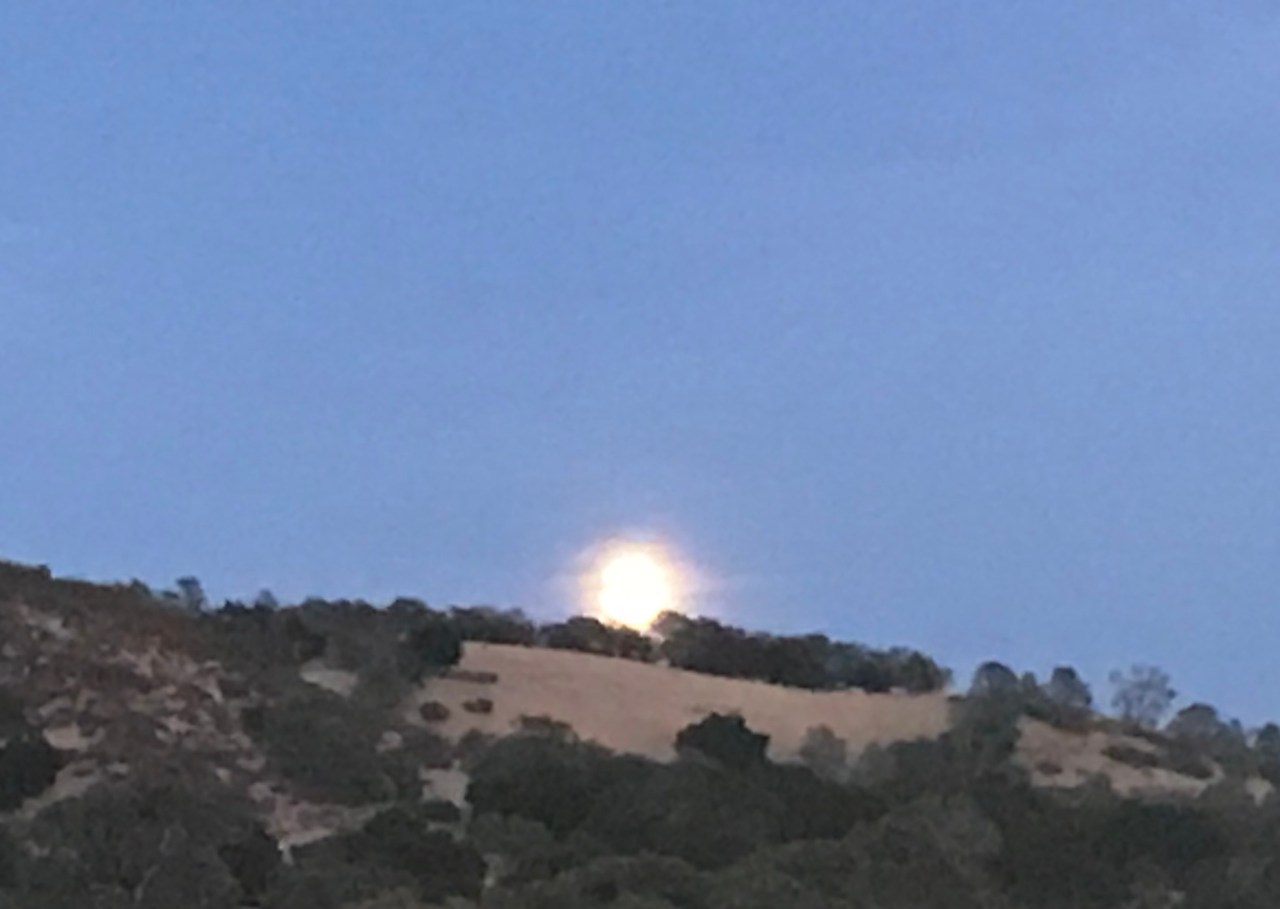 image_af079005-295b-477d-bfe8-5dd882241d94.img_8098